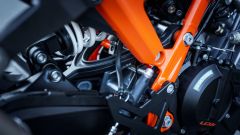 Gallery - immagine 6#