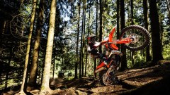 Gallery - immagine 3#
