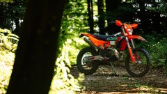 Gallery - immagine 6#