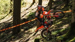 Gallery - immagine 7#