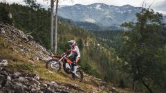 Gallery - immagine 2#