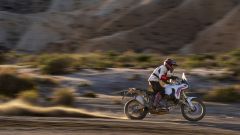 Gallery - immagine 8#