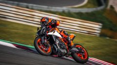 Gallery - immagine 2#