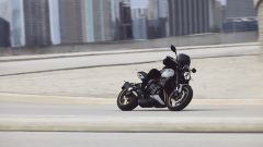 Gallery - immagine 5#