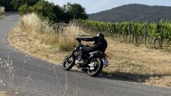 Gallery - immagine 5#