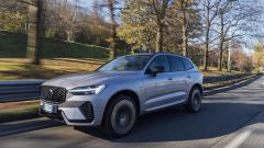 Gallery - immagine 2#