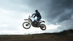 Gallery - immagine 3#