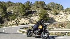 Gallery - immagine 2#