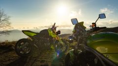 Gallery - immagine 2#