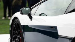 Gallery - immagine 8#