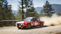 Gallery - immagine 2#