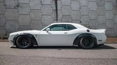 Gallery - immagine 7#