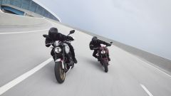 Gallery - immagine 7#