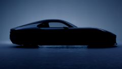 Gallery - immagine 2#