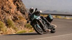 Gallery - immagine 2#