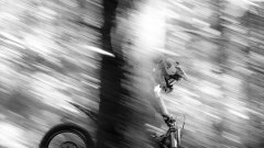 Gallery - immagine 3#