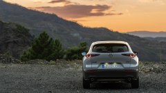 Gallery - immagine 10#