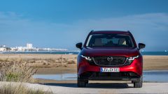 Gallery - immagine 2#