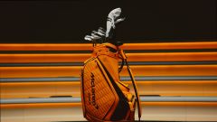 Gallery - immagine 2#