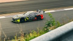 Gallery - immagine 3#