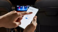 Gallery - immagine 8#