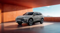 Gallery - immagine 2#