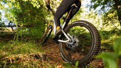 Gallery - immagine 2#