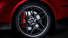 Gallery - immagine 5#