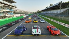 Gallery - immagine 3#