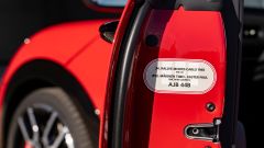 Gallery - immagine 8#