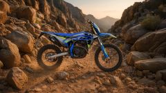 Gallery - immagine 3#