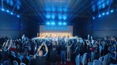 Gallery - immagine 3#