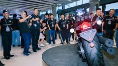 Gallery - immagine 4#