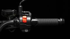 Gallery - immagine 3#