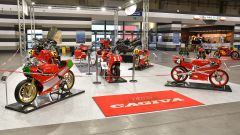 Gallery - immagine 9#