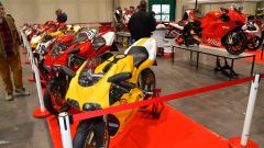 Gallery - immagine 8#