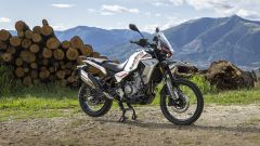 Moto Morini Alltrhike 450: data arrivo, colori, versioni, prezzi