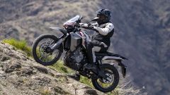 Gallery - immagine 2#