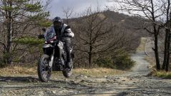 Gallery - immagine 5#