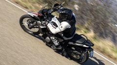 Gallery - immagine 6#