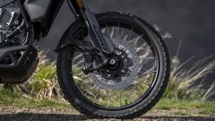 Gallery - immagine 7#