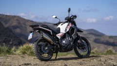 Gallery - immagine 9#