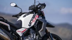 Gallery - immagine 10#