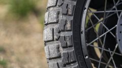 Gallery - immagine 11#