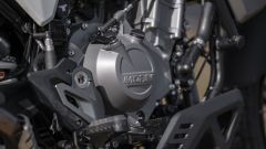 Gallery - immagine #12