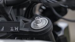 Gallery - immagine #14