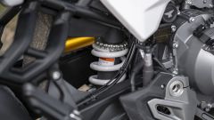 Gallery - immagine #15