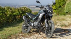 Gallery - immagine 9#