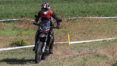 Gallery - immagine 6#