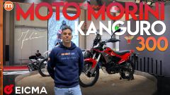 Moto Morini Kanguro 300 2026, la dual monocilindrica in video da EICMA